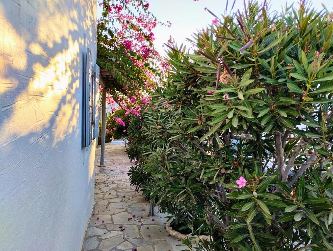 Aparthotel Despina'S Mare Naousa  Exterior foto