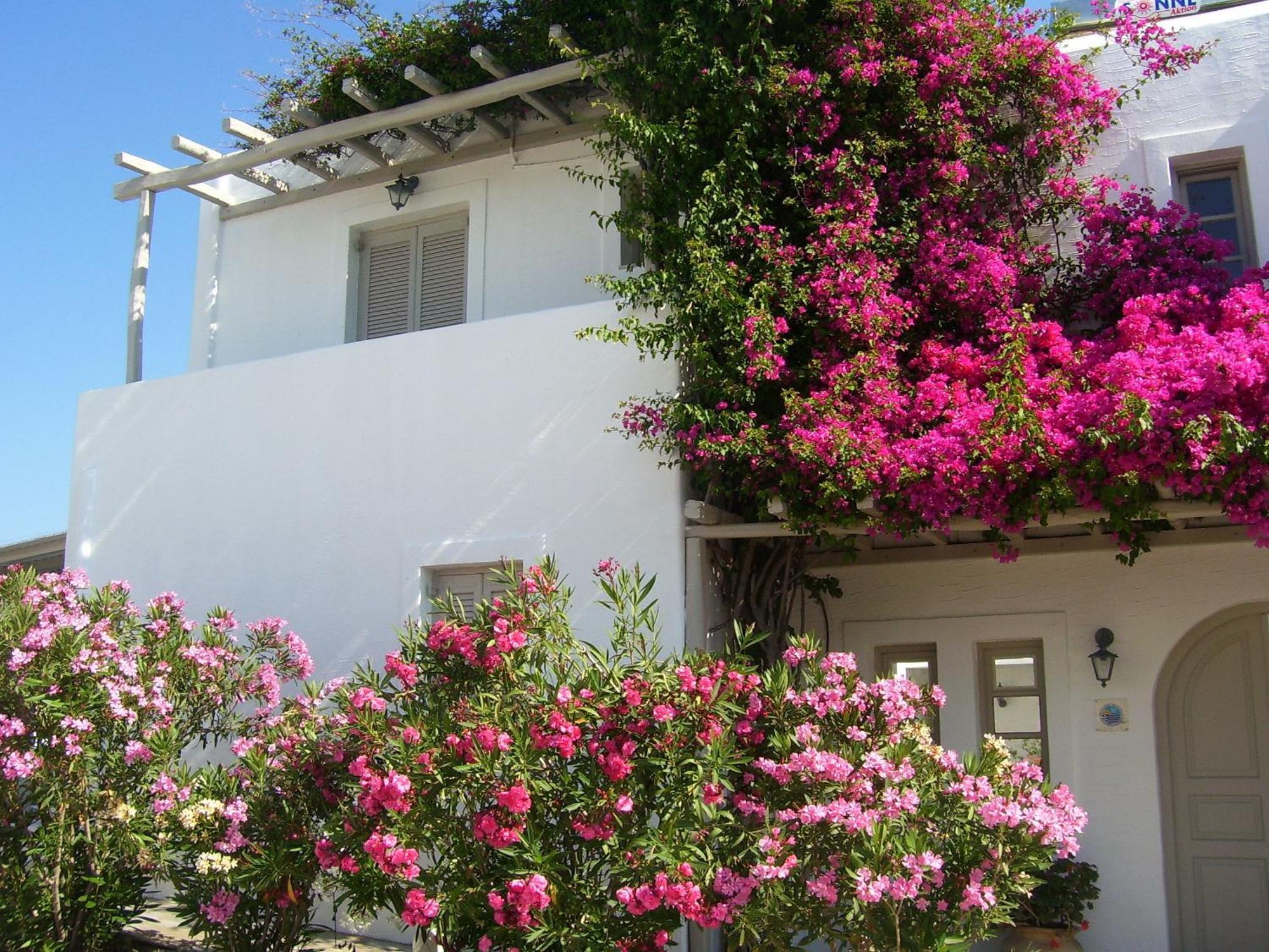 Aparthotel Despina'S Mare Naousa  Exterior foto