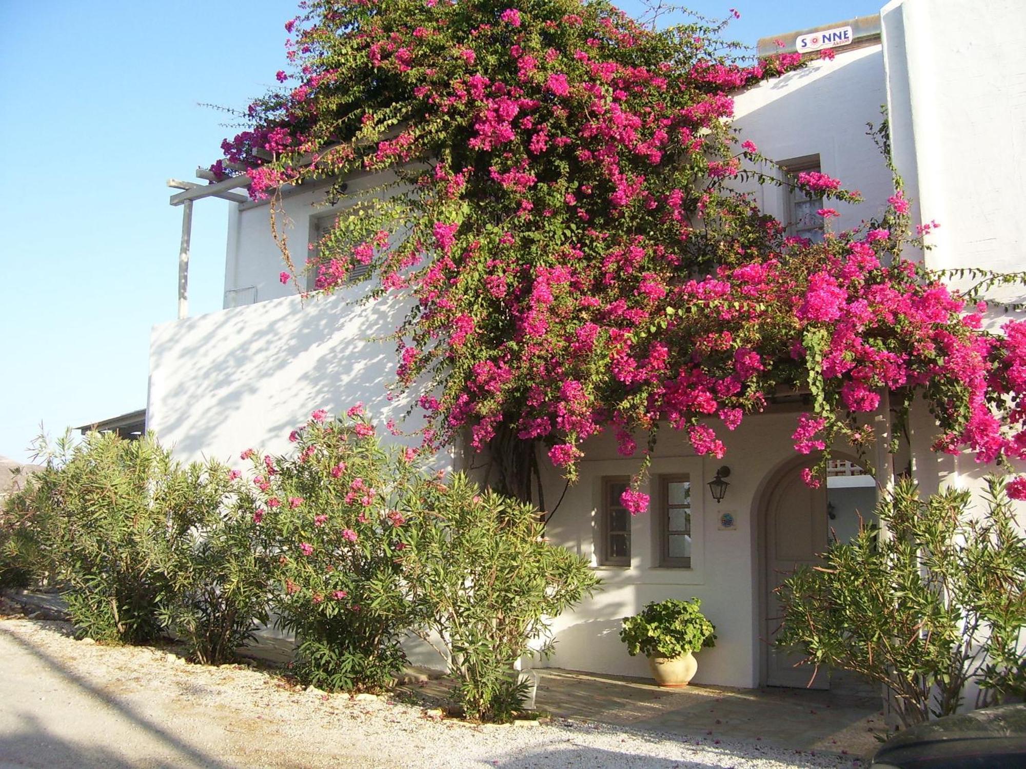 Aparthotel Despina'S Mare Naousa  Exterior foto
